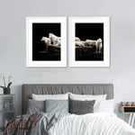 White Wolves Wall Art