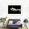 White Wolves Wall Art