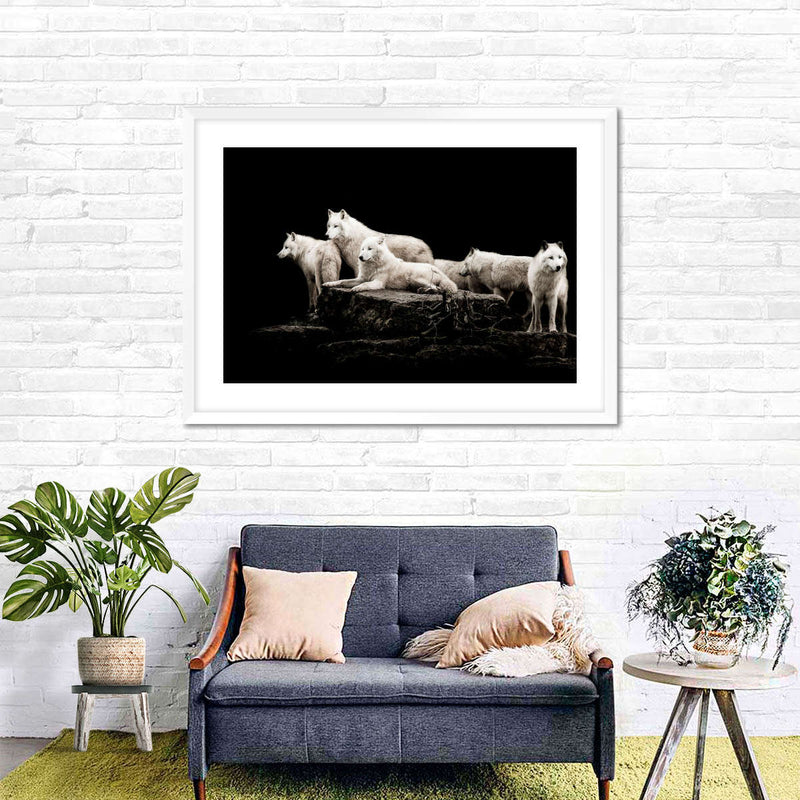 White Wolves Wall Art