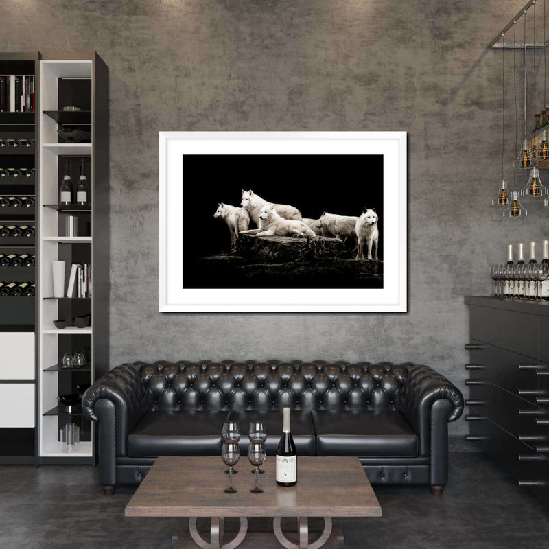 White Wolves Wall Art