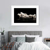 White Wolves Wall Art