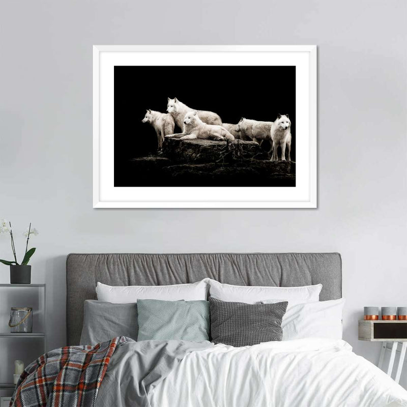 White Wolves Wall Art