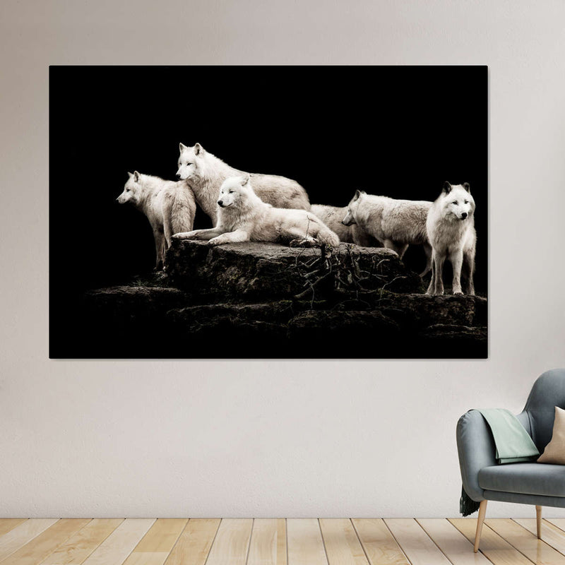 White Wolves Wall Art
