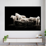 White Wolves Wall Art