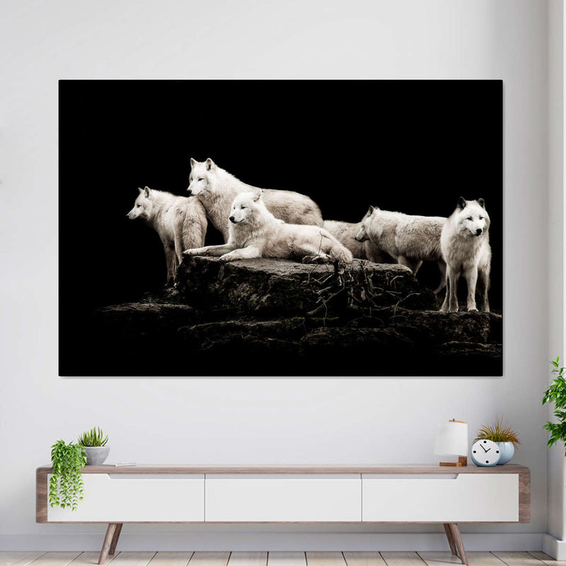White Wolves Wall Art