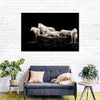 White Wolves Wall Art