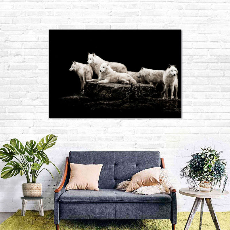 White Wolves Wall Art
