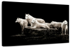 White Wolves Wall Art