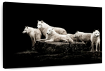 White Wolves Wall Art