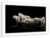 White Wolves Wall Art