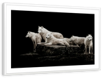 White Wolves Wall Art