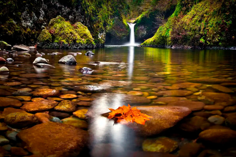 Punch Bowl Waterfall Wall Art