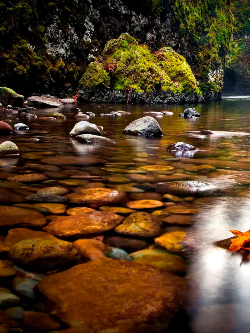Punch Bowl Waterfall Wall Art