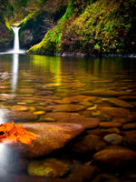 Punch Bowl Waterfall Wall Art