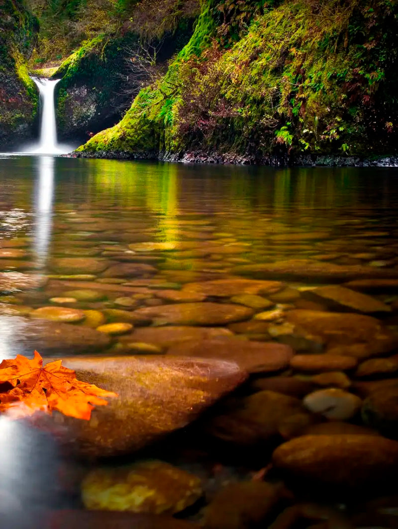 Punch Bowl Waterfall Wall Art