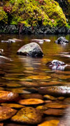 Punch Bowl Waterfall Wall Art