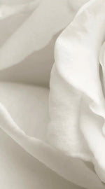 Pure White Roses Wall Art