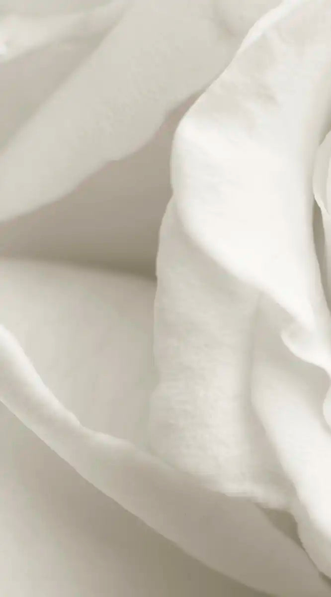 Pure White Roses Wall Art