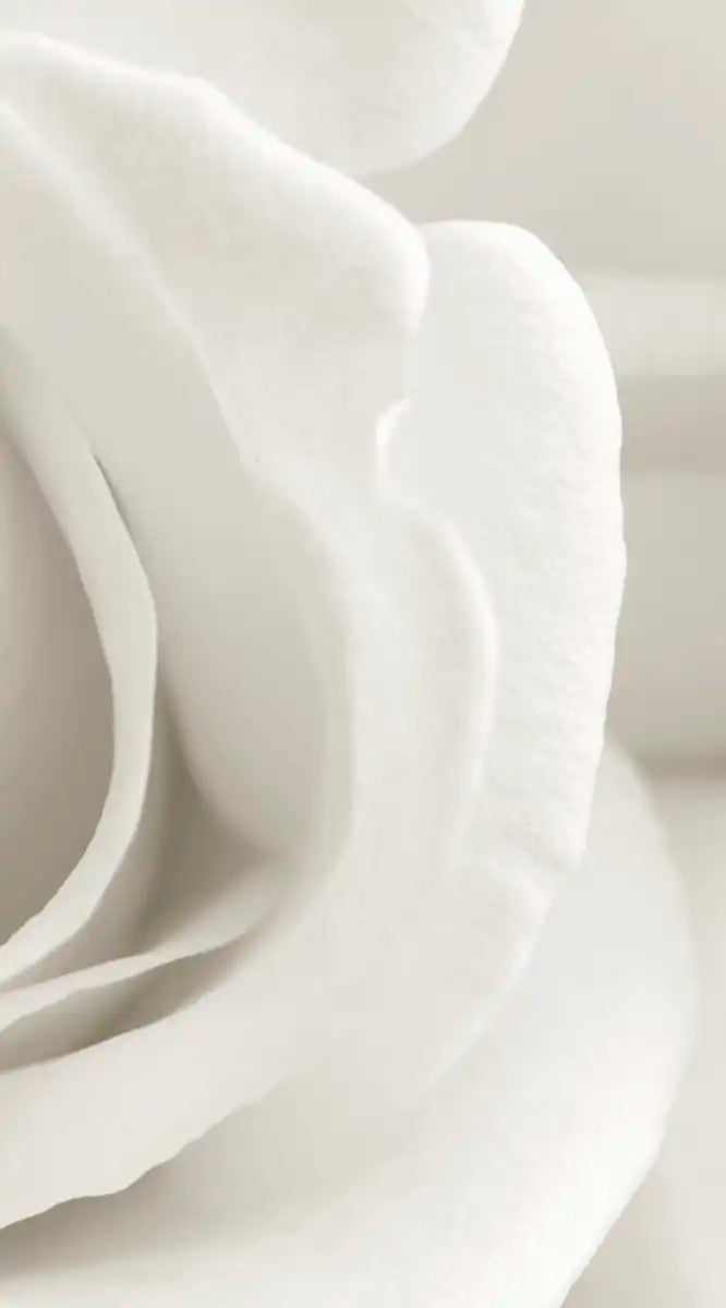 Pure White Roses Wall Art