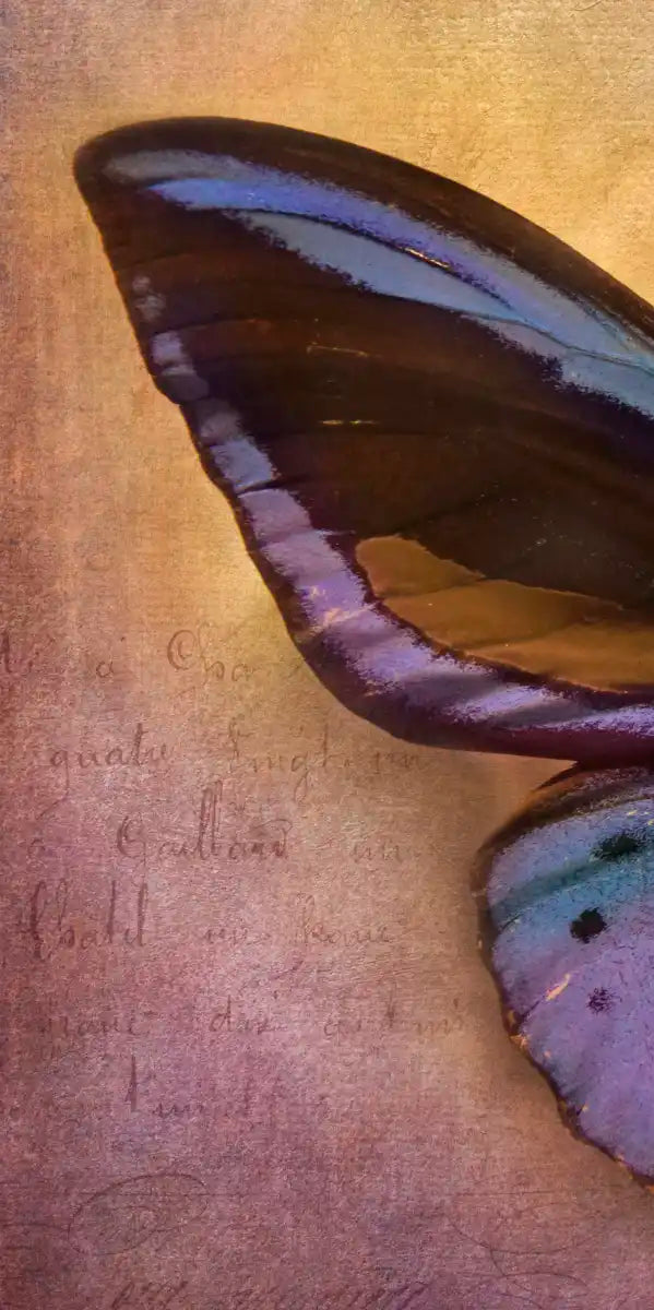 Purple Butterfly Wall Art