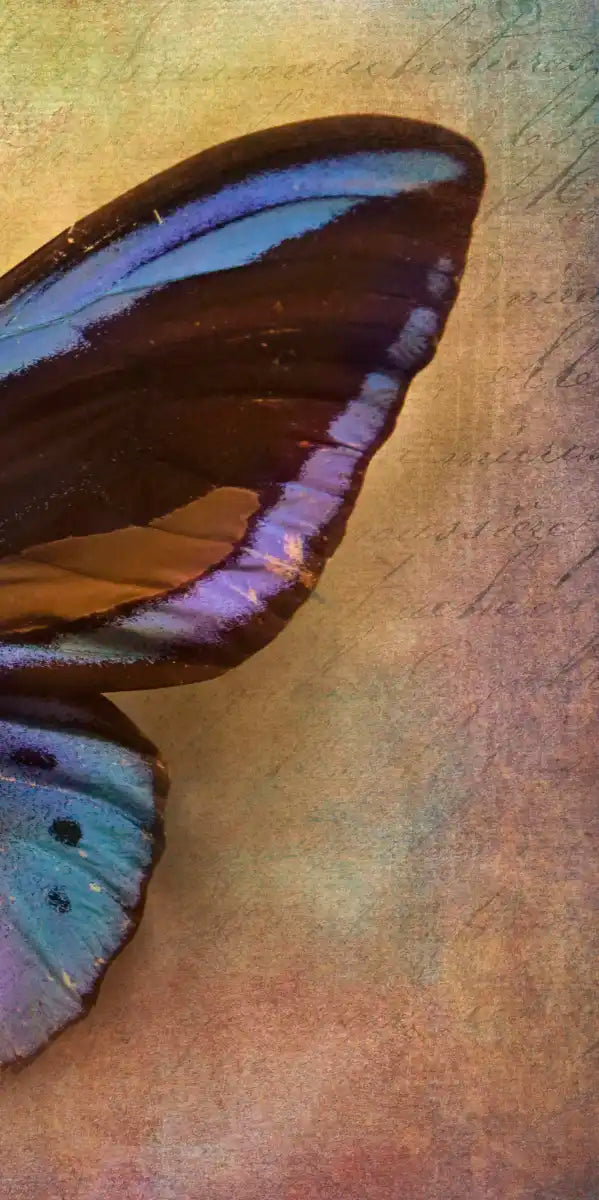 Purple Butterfly Wall Art