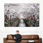 Sakura Passage Wall Art