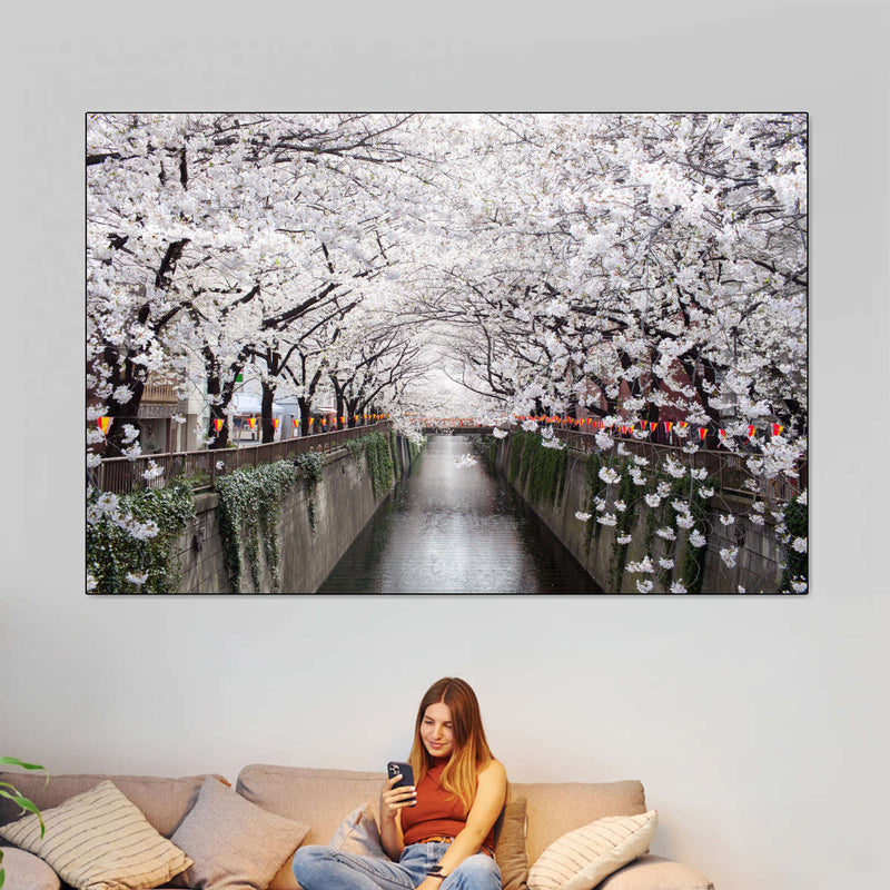 Sakura Passage Wall Art