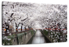 Sakura Passage Wall Art