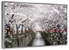 Sakura Passage Wall Art