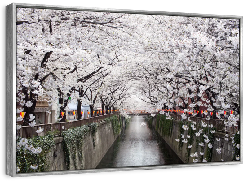 Sakura Passage Wall Art