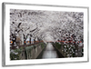Sakura Passage Wall Art