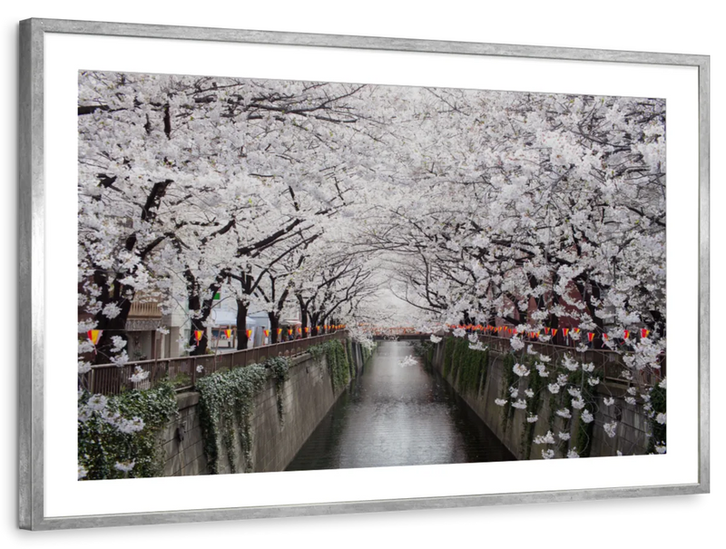 Sakura Passage Wall Art