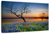Texas Sunset Wall Art