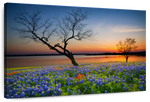 Texas Sunset Wall Art