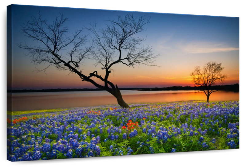 Texas Sunset Wall Art