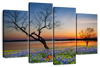 Texas Sunset Wall Art