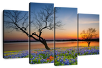 Texas Sunset Wall Art