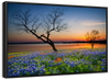 Texas Sunset Wall Art