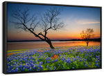 Texas Sunset Wall Art