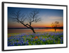 Texas Sunset Wall Art