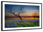 Texas Sunset Wall Art