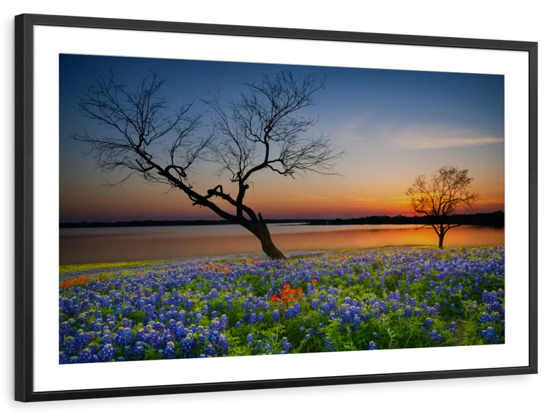Texas Sunset Wall Art