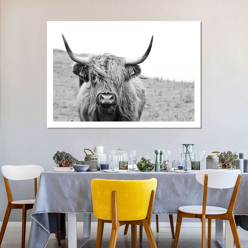Solitary Highland Cow Wall Art