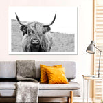 Solitary Highland Cow Wall Art