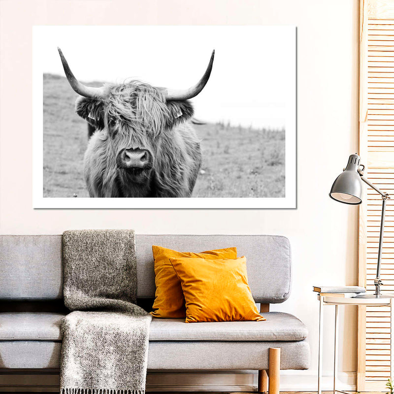 Solitary Highland Cow Wall Art
