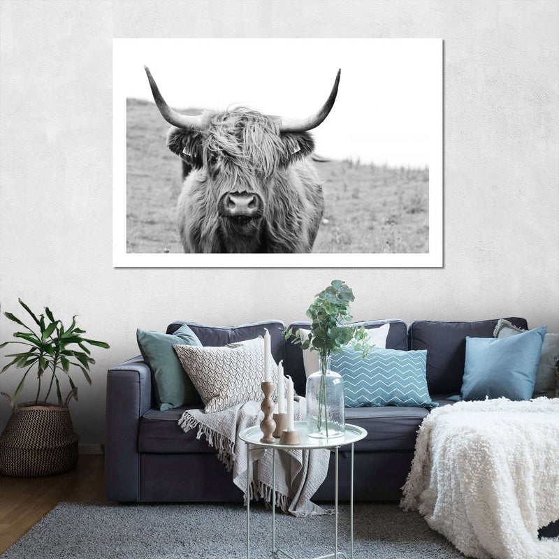 Solitary Highland Cow Wall Art
