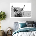 Solitary Highland Cow Wall Art