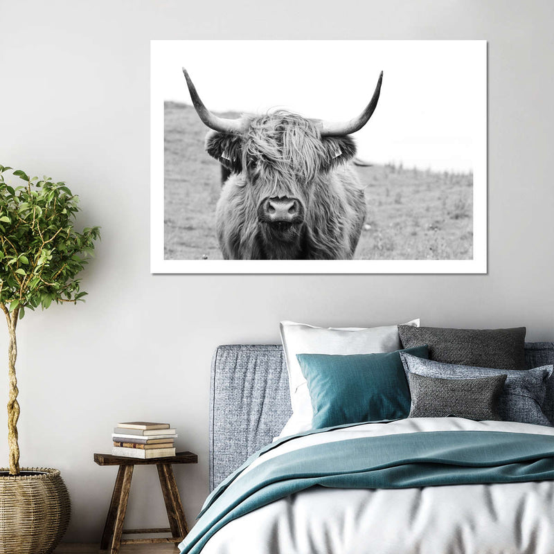 Solitary Highland Cow Wall Art