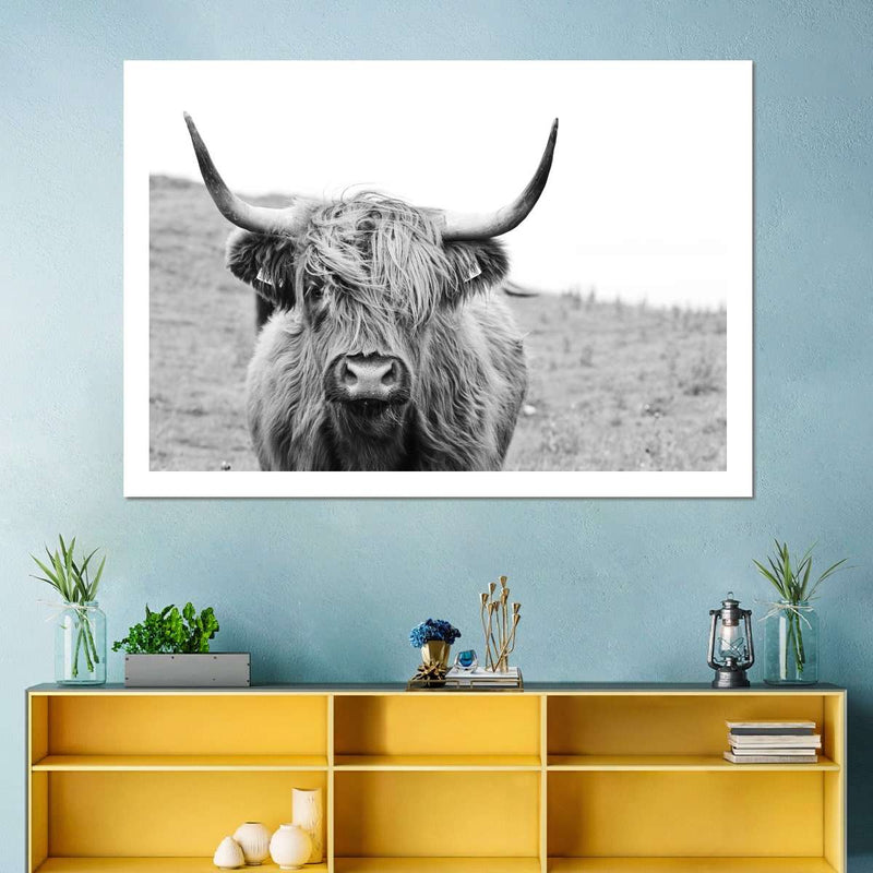 Solitary Highland Cow Wall Art