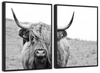 Solitary Highland Cow Wall Art